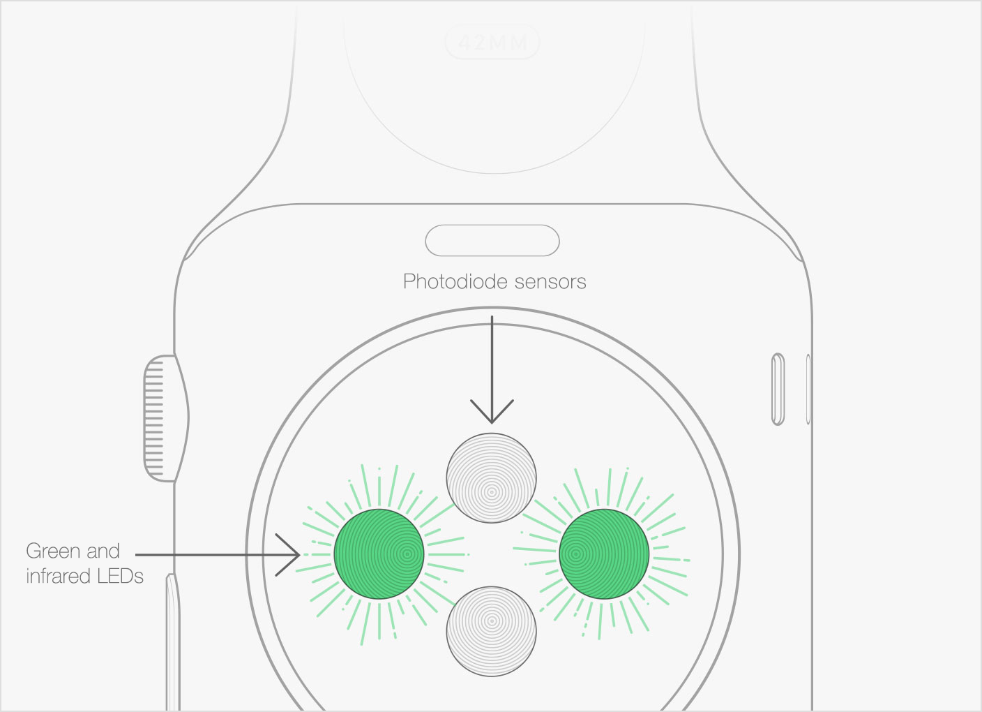 Heart beat monitoring online watch